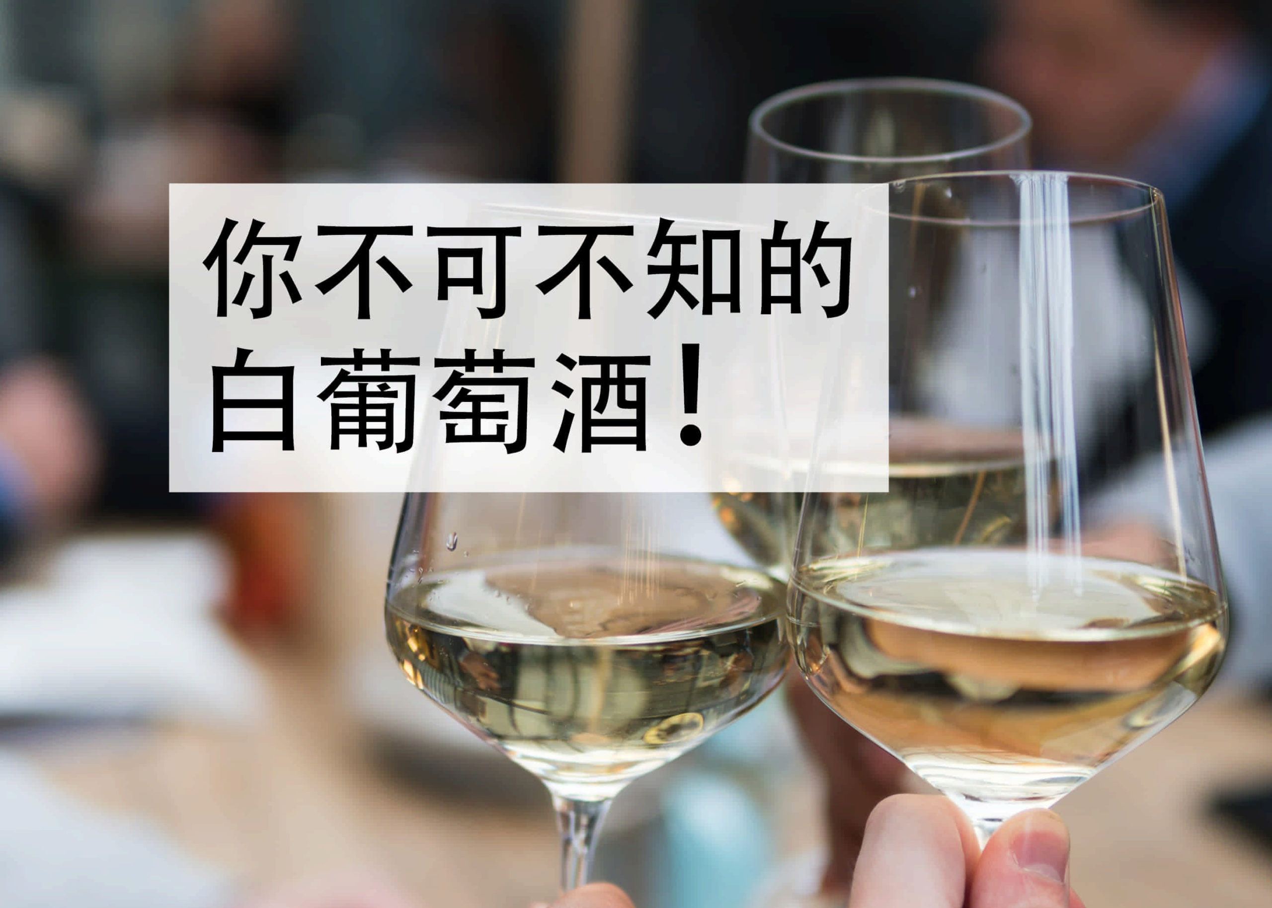 66# 三种你不可不知的白葡萄酒 - WineSoHappy